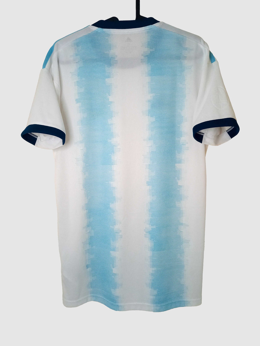 Argentina 2019 Copa America Home Shirt Back DN6716