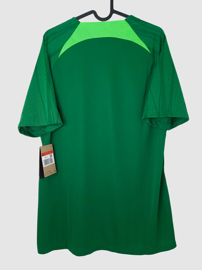 Nigeria 2022 Training Shirt Back DH6447-302