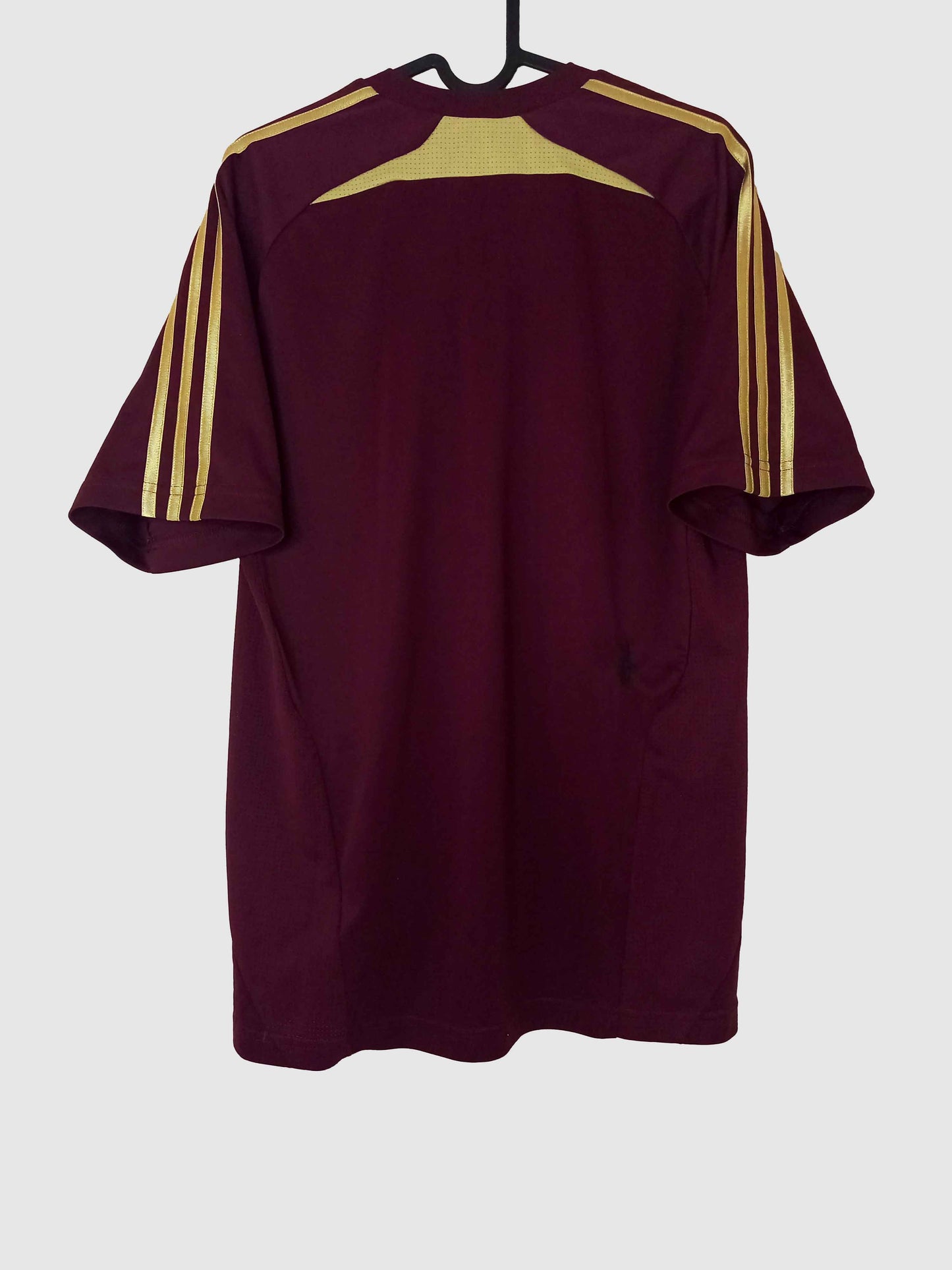 Olympique Lyonnais 2010/11 Training Shirt Back P00293