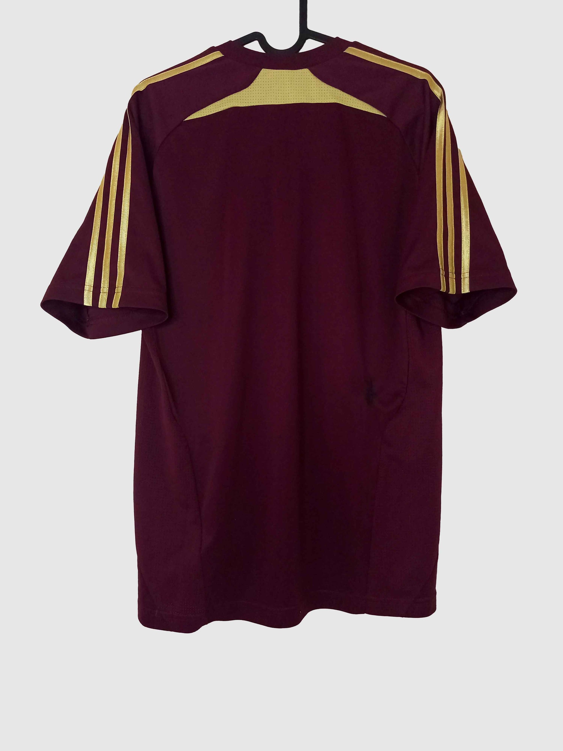 Olympique Lyonnais 2010/11 Training Shirt Back P00293