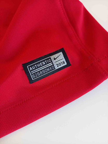 Portugal 2018 Home Shirt Ronaldo Tags 893877-687