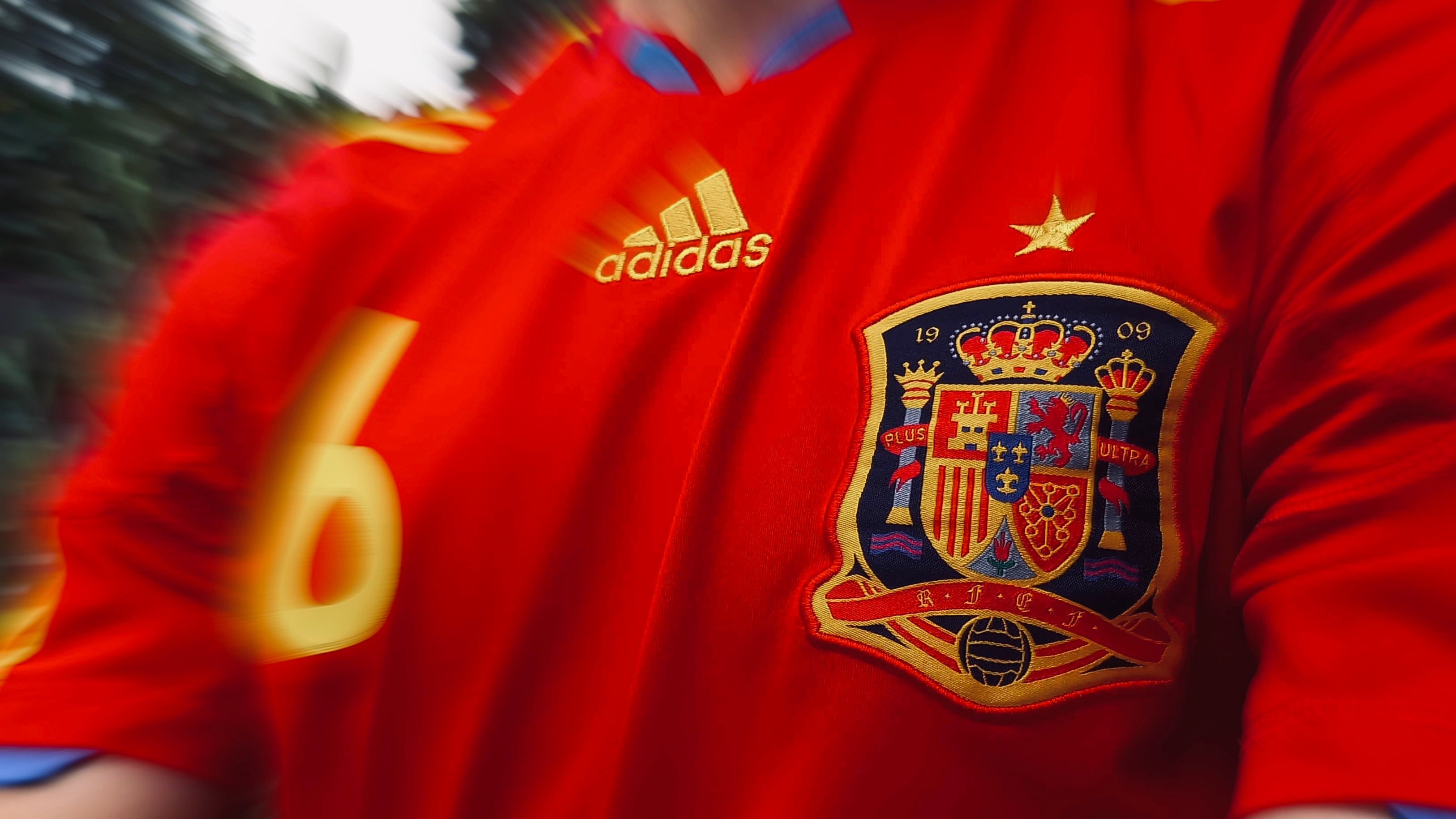 Spain 2010 home shirt banner